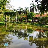 Sri Lankas Natur