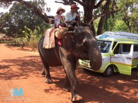 Auto oder Elefant? In Goa ist nicht immer klar, was die bessere Fortbewegungsmethode ist.