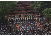 Thrissur Pooram Festival